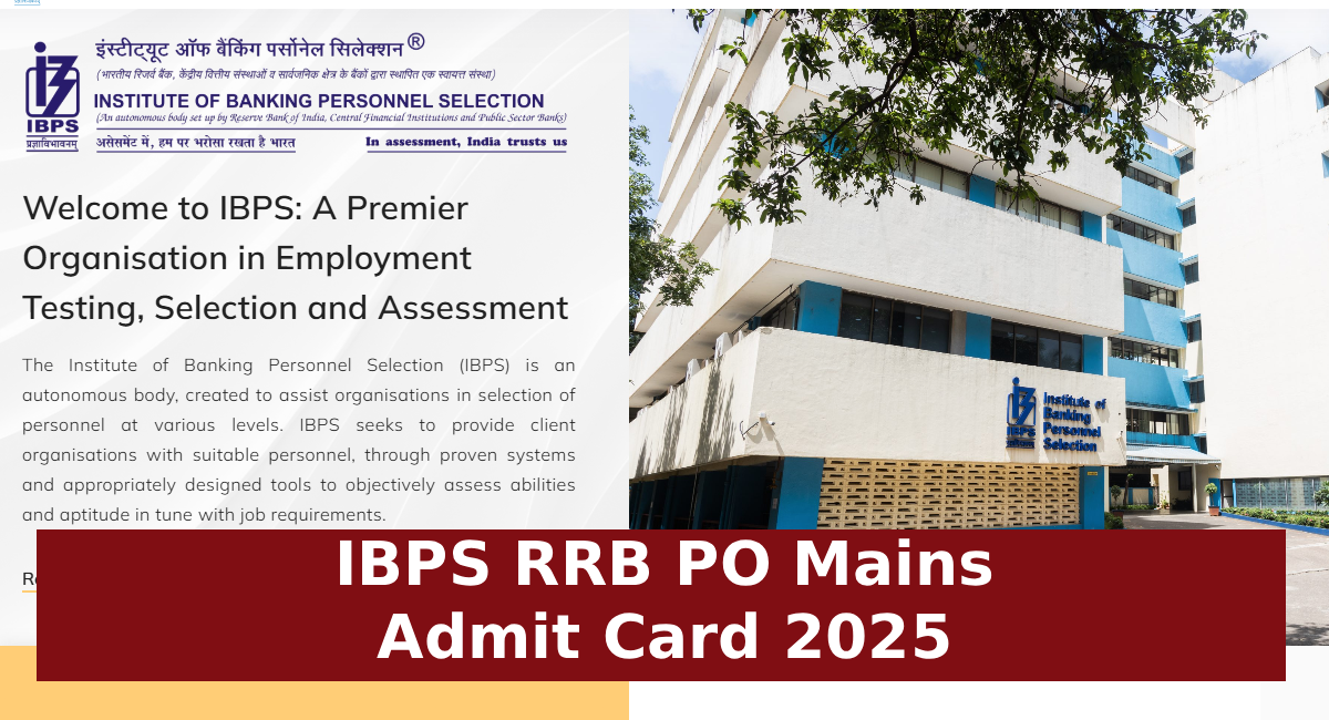 IBPS RRB PO Mains Admit Card 2025